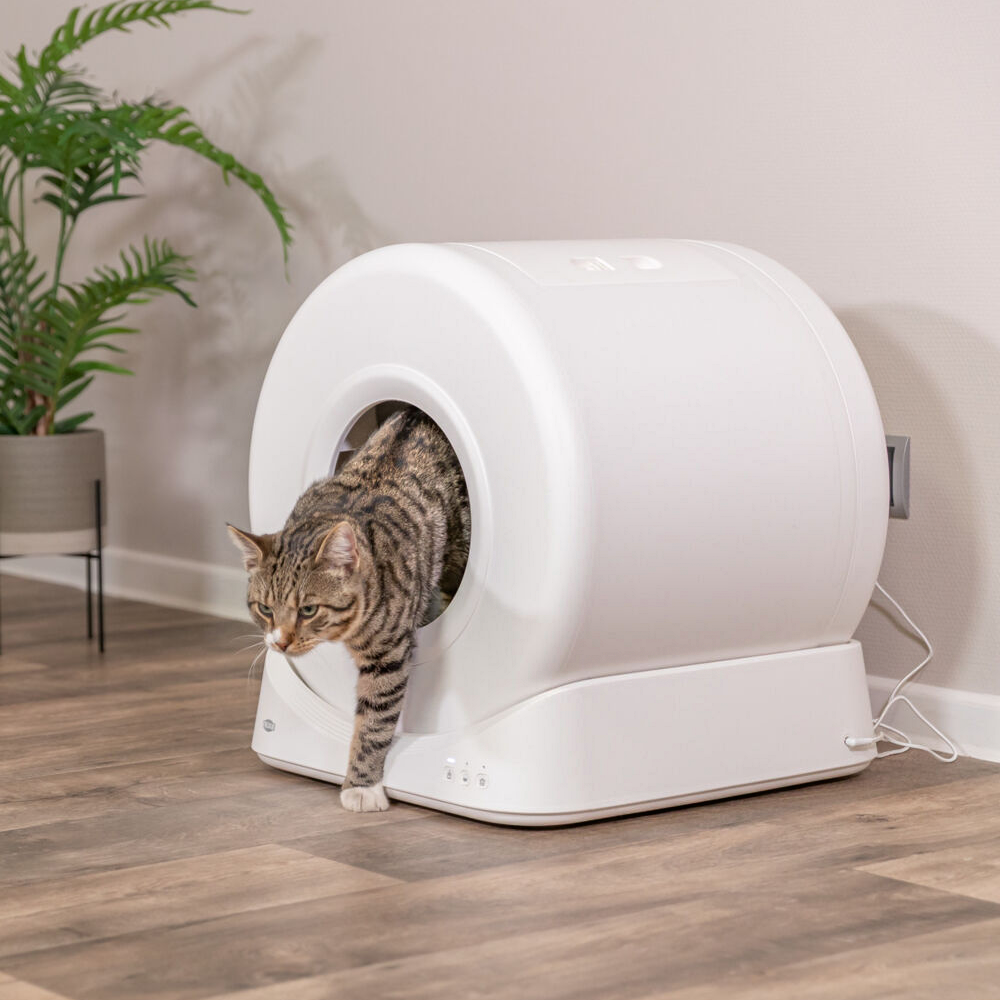 Slimme kattenbak