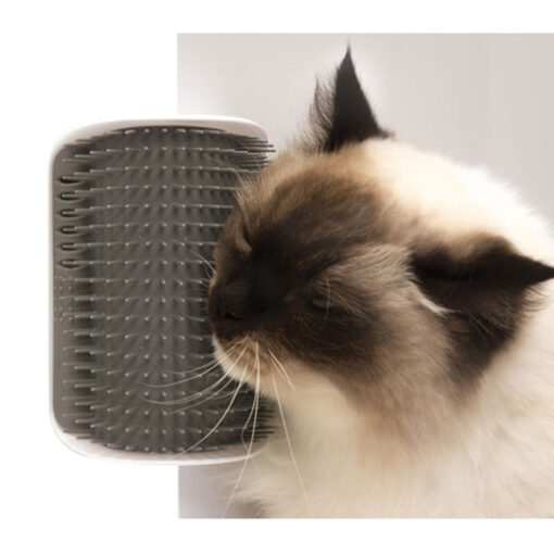 Catit Design Senses Gras, tuin, kattengras | DIERBENODIGDHEDEN | Wij