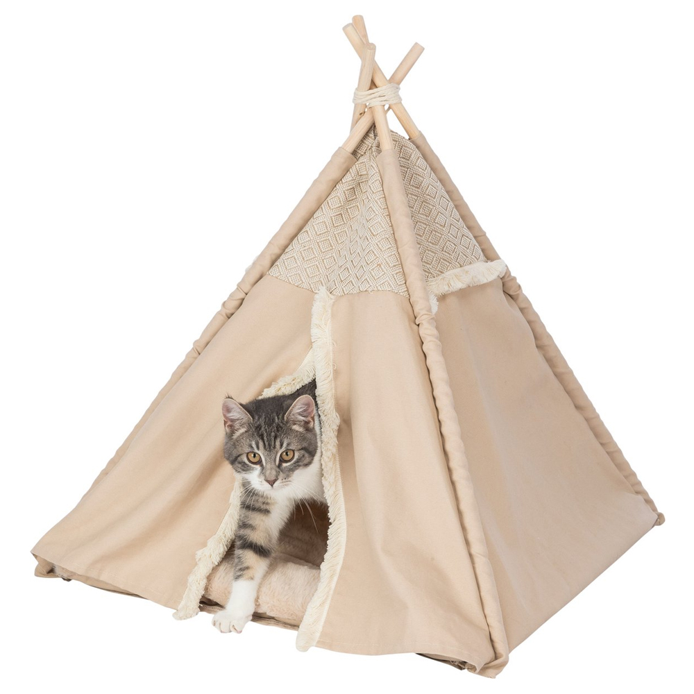 kat loop uit kattenhuis tipi