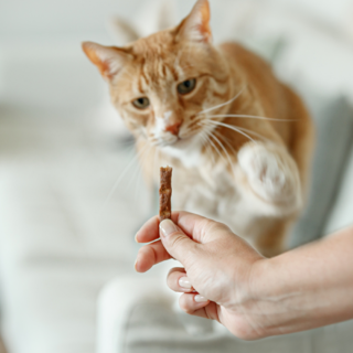 Snackbundel